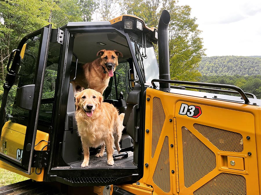 Two happy dogs sitting in an excavator